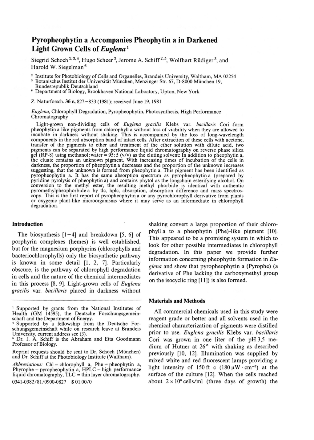 Pyropheophytin a Accompanies Pheophytin a in Darkened Light Grown Cells of Euglena1 Siegrid Schoch2 3,4, Hugo Scheer3, Jerome A