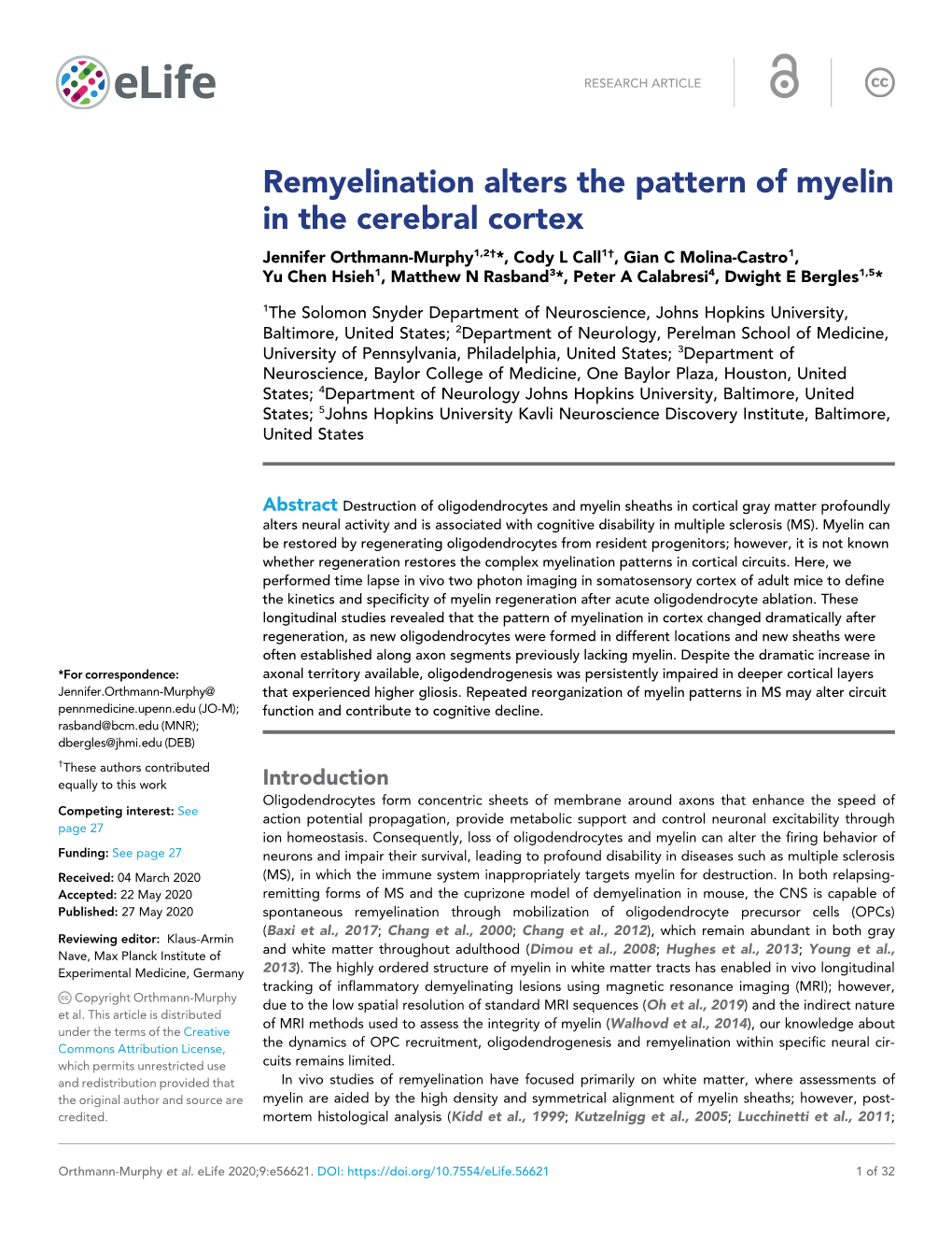 Remyelination Alters the Pattern of Myelin in the Cerebral Cortex