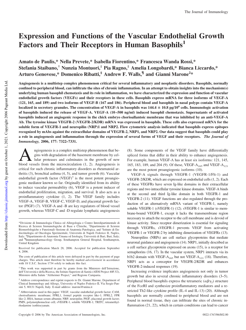 Receptors in Human Basophils Endothelial Growth Factors And