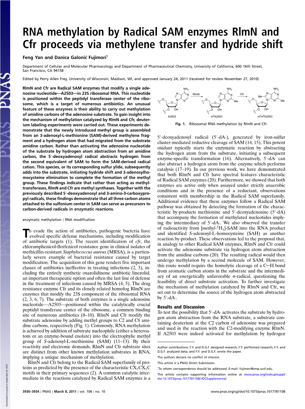 RNA Methylation by Radical SAM Enzymes Rlmn and Cfr Proceeds Via Methylene Transfer and Hydride Shift