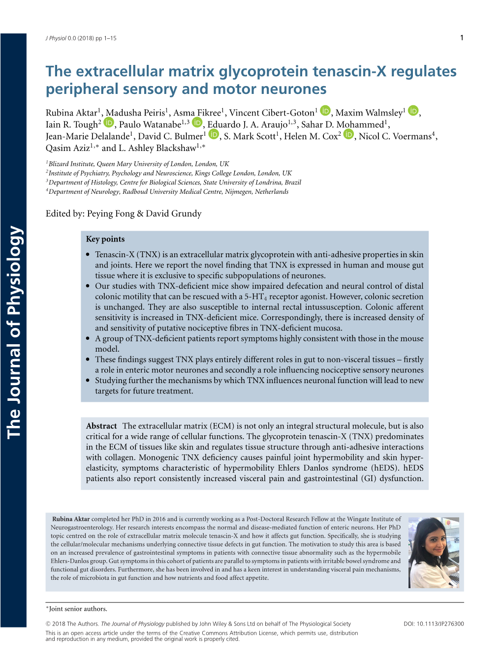 The Extracellular Matrix Glycoprotein Tenascin-X Regulates Peripheral Sensory and Motor Neurones