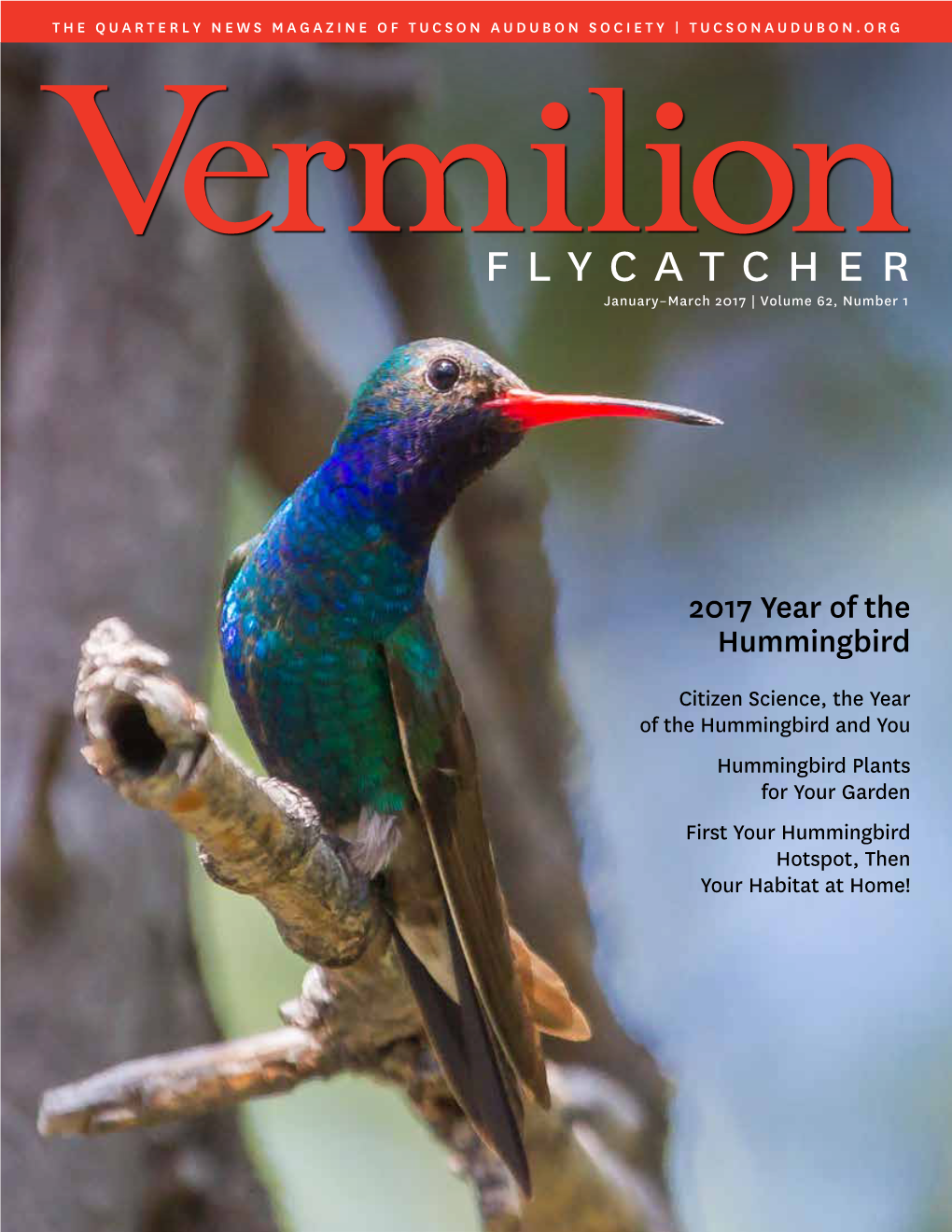 Flycatcher January–March 2017 | Volume 62, Number 1