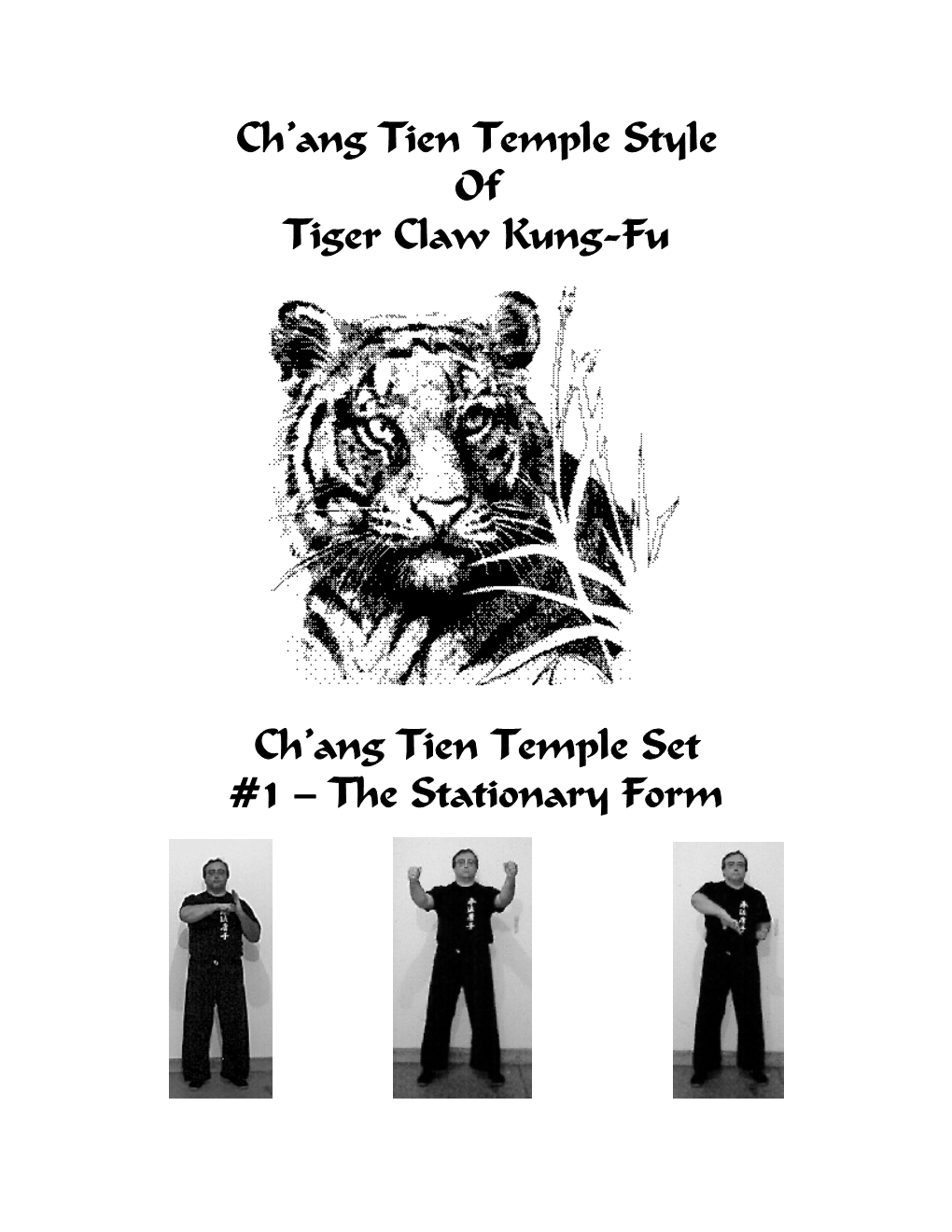 Chang Tien Temple Set Manual A