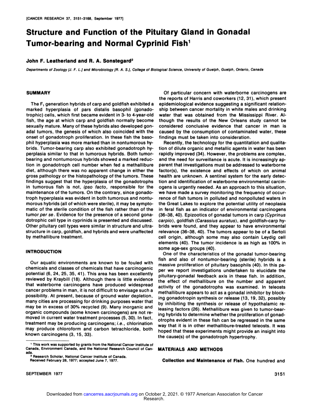 Structure and Function of the Pituitary Gland in Gonadal Tumor-Bearing and Normal Cyprinid Fish1