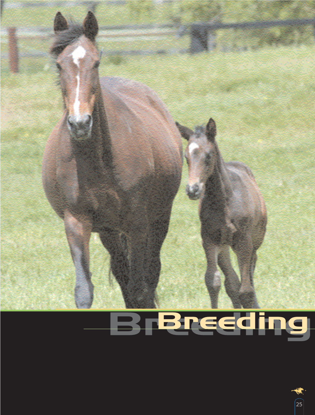 Breedingbreeding