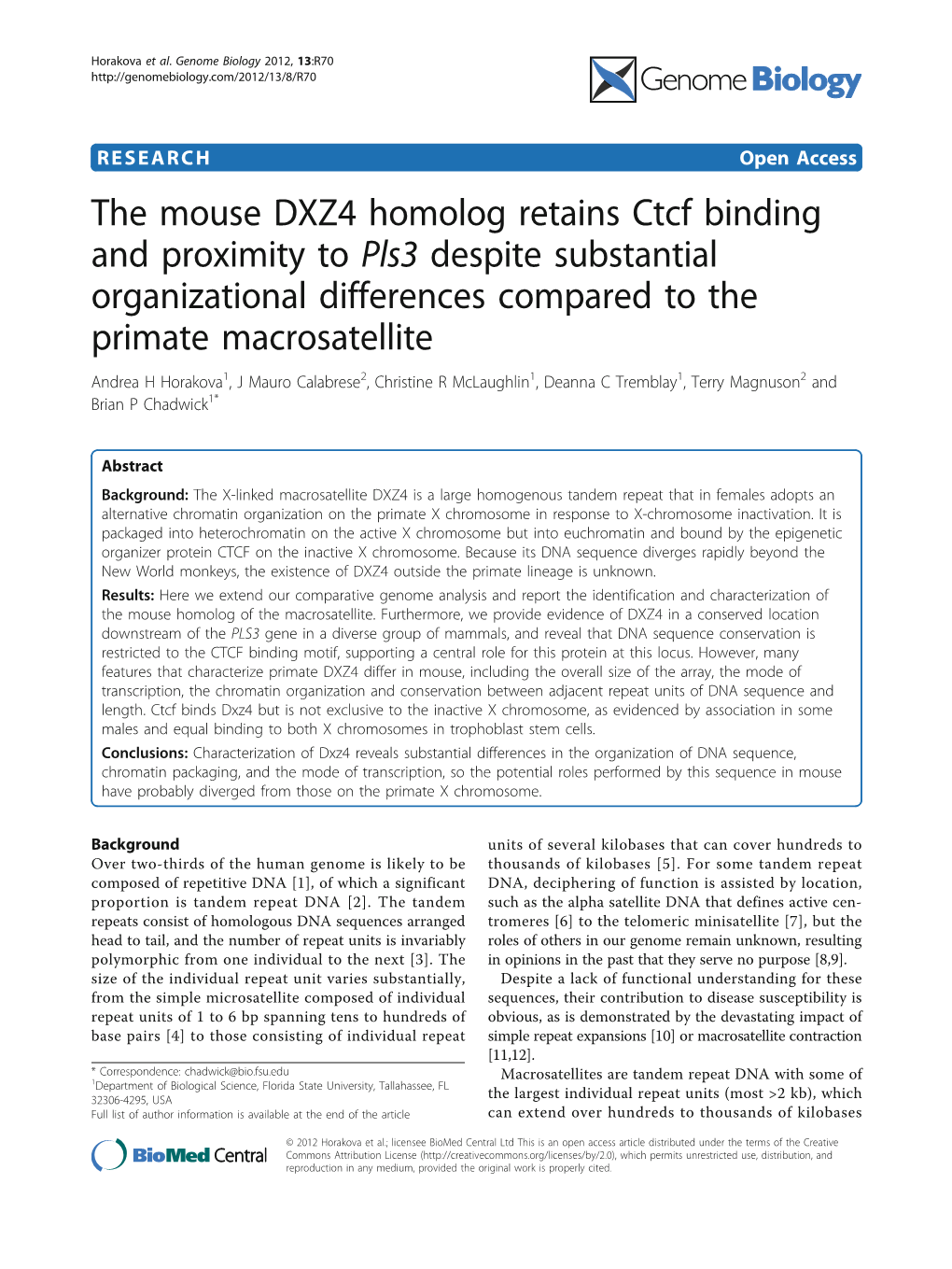 The Mouse DXZ4 Homolog Retains Ctcf Binding and Proximity to Pls3 Despite Substantial Organizational Differences Compared To