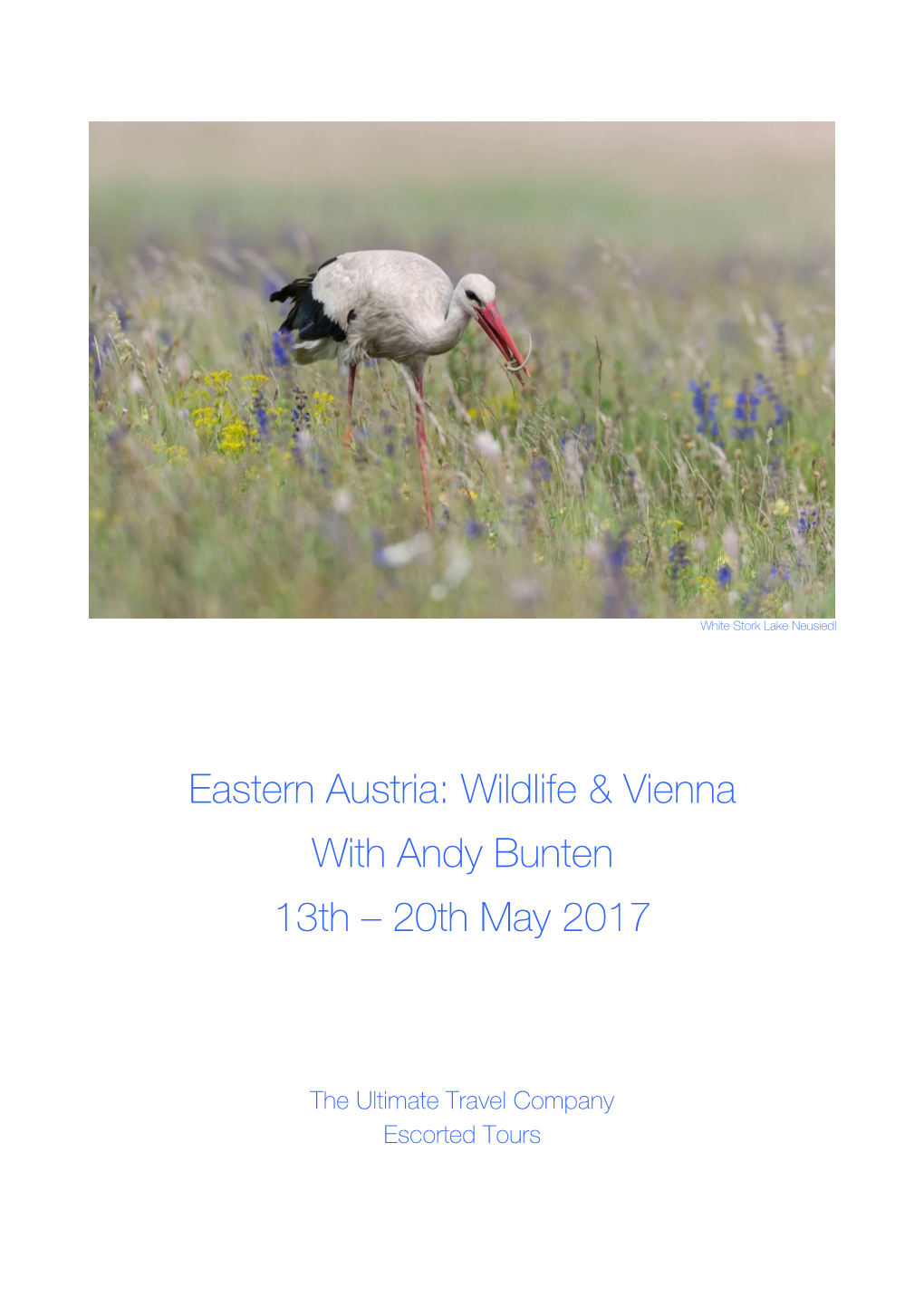 Eastern Austria: Wildlife & Vienna with Andy Bunten 13Th
