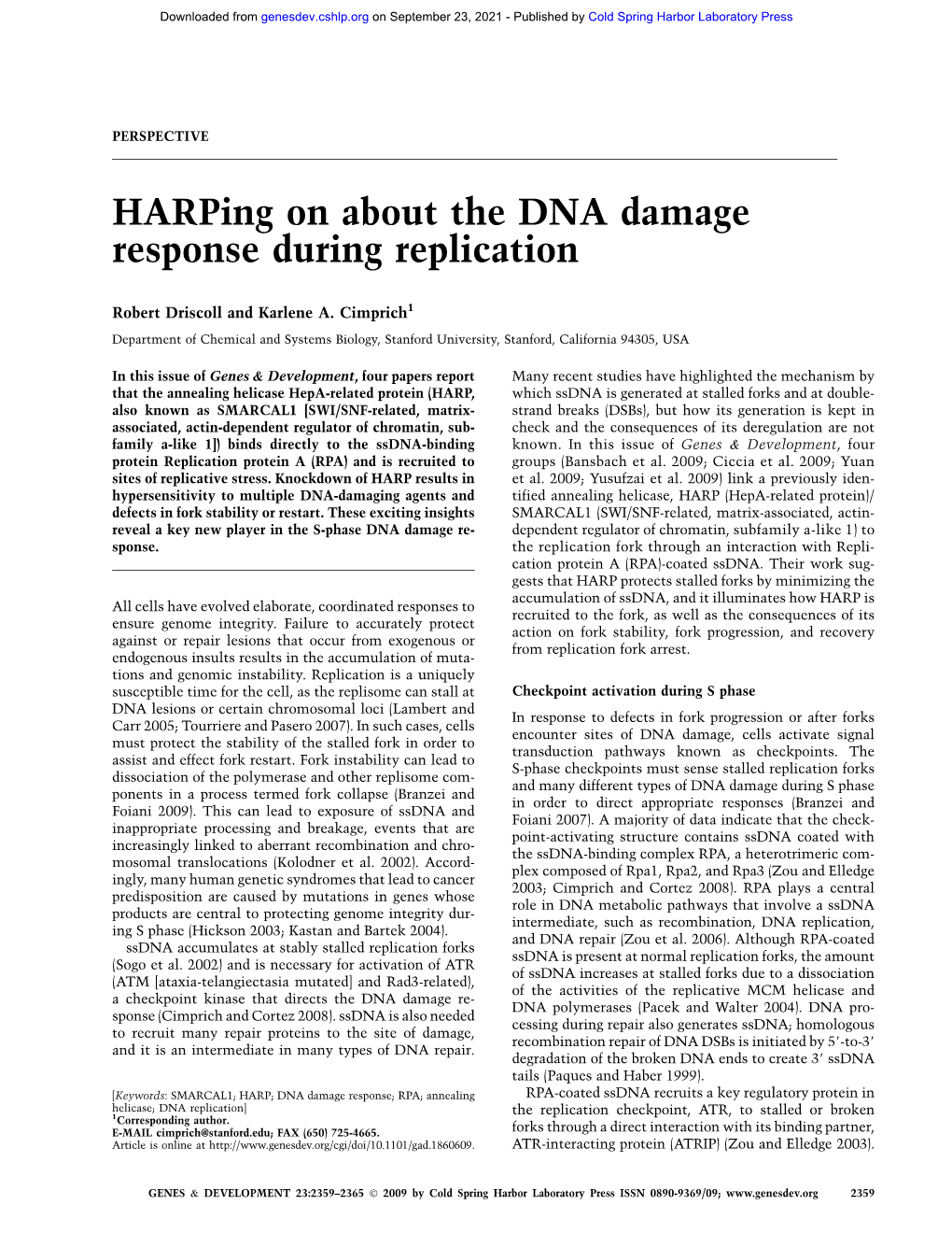 Harping on About the DNA Damage Response During Replication