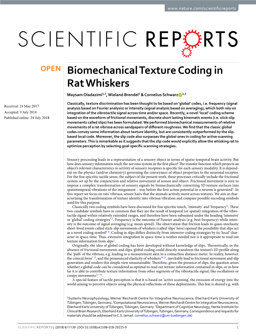 Biomechanical Texture Coding in Rat Whiskers Maysam Oladazimi1,3, Wieland Brendel2 & Cornelius Schwarz 1,3