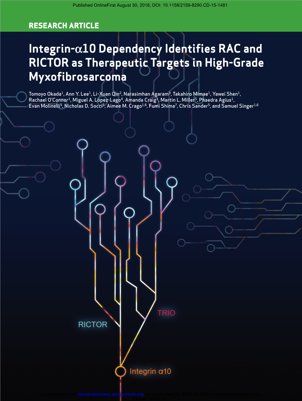Integrin-Α10 Dependency Identifies RAC and RICTOR As Therapeutic Targets in High-Grade Myxofibrosarcoma
