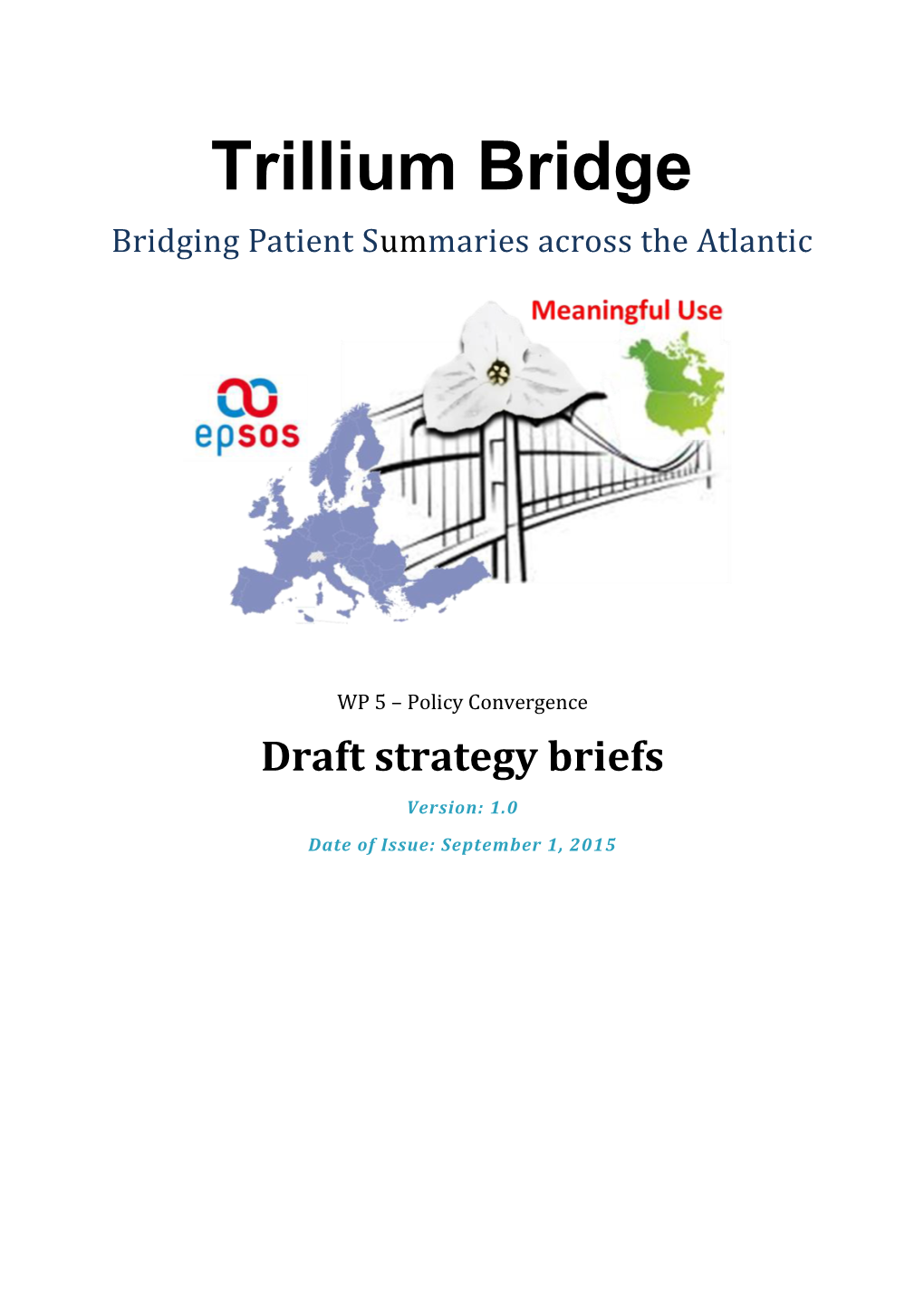 Inventory of Patient Summaries in the EU & US: Use Cases, Projects