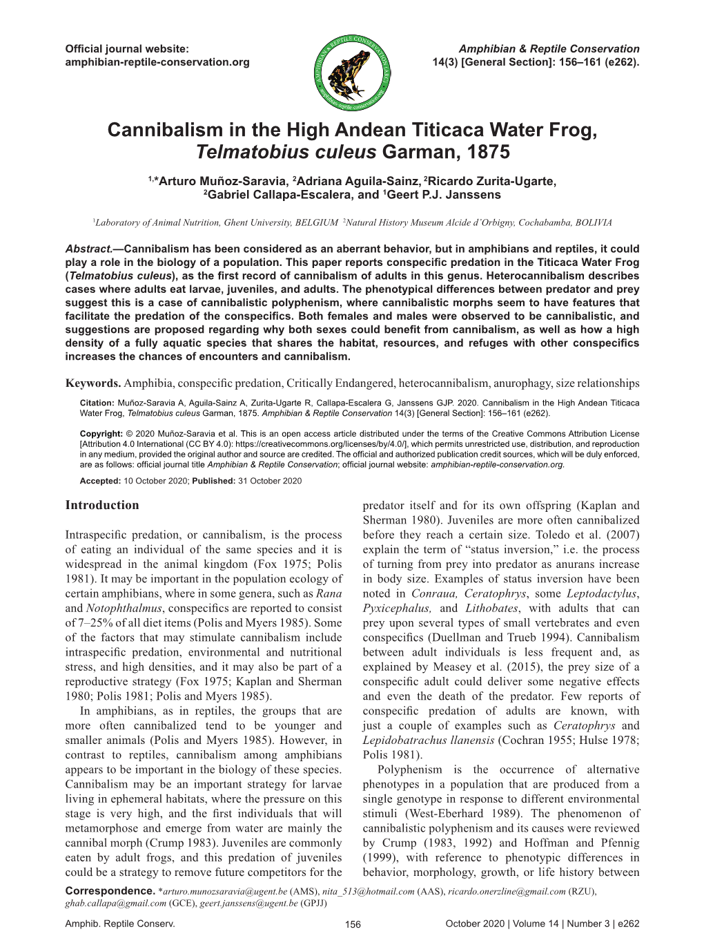 Cannibalism in the High Andean Titicaca Water Frog, Telmatobius