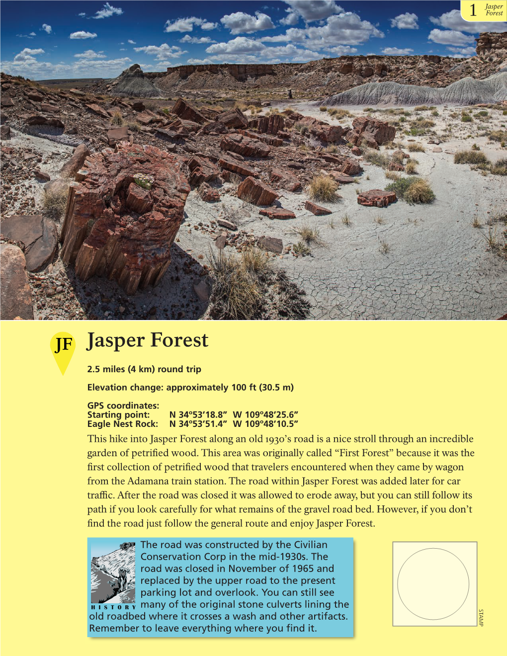 Jasper Forest