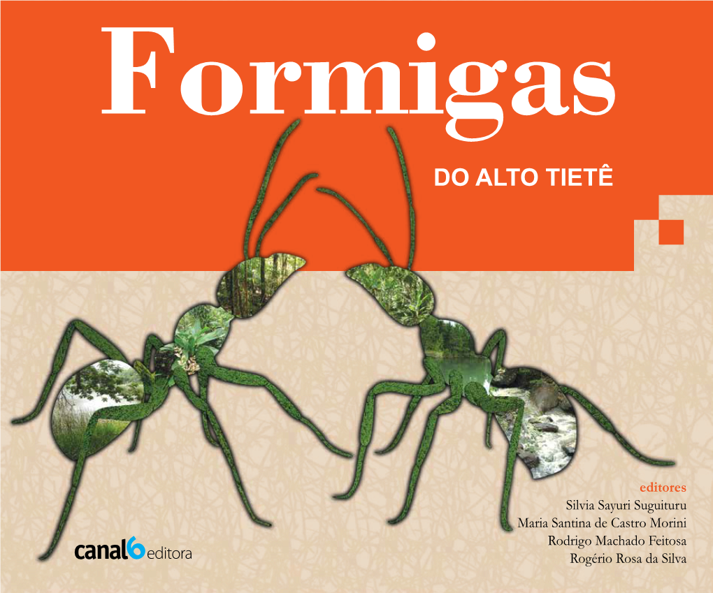 Formigas DO ALTO TIETÊ Formigas