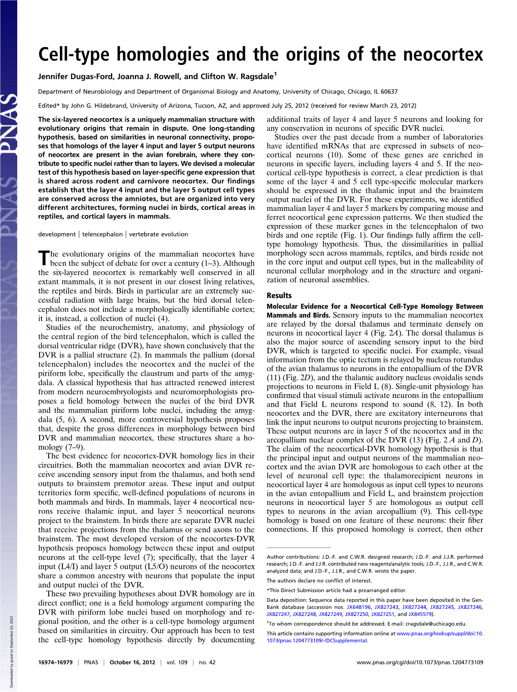 Cell-Type Homologies and the Origins of the Neocortex