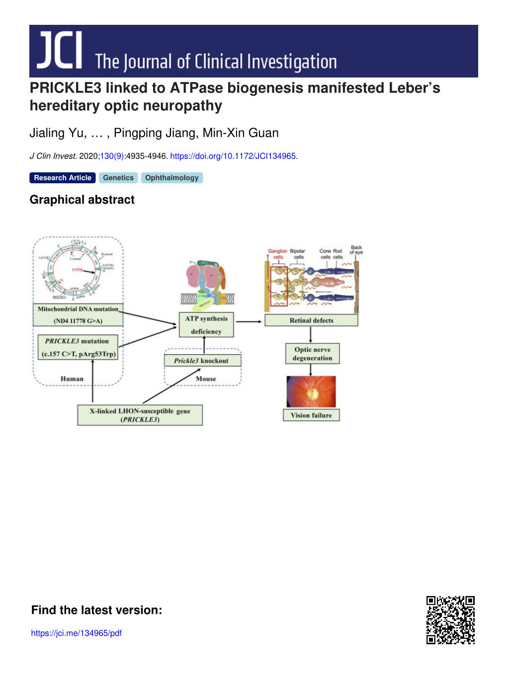 PRICKLE3 Linked to Atpase Biogenesis Manifested Leber's Hereditary Optic Neuropathy