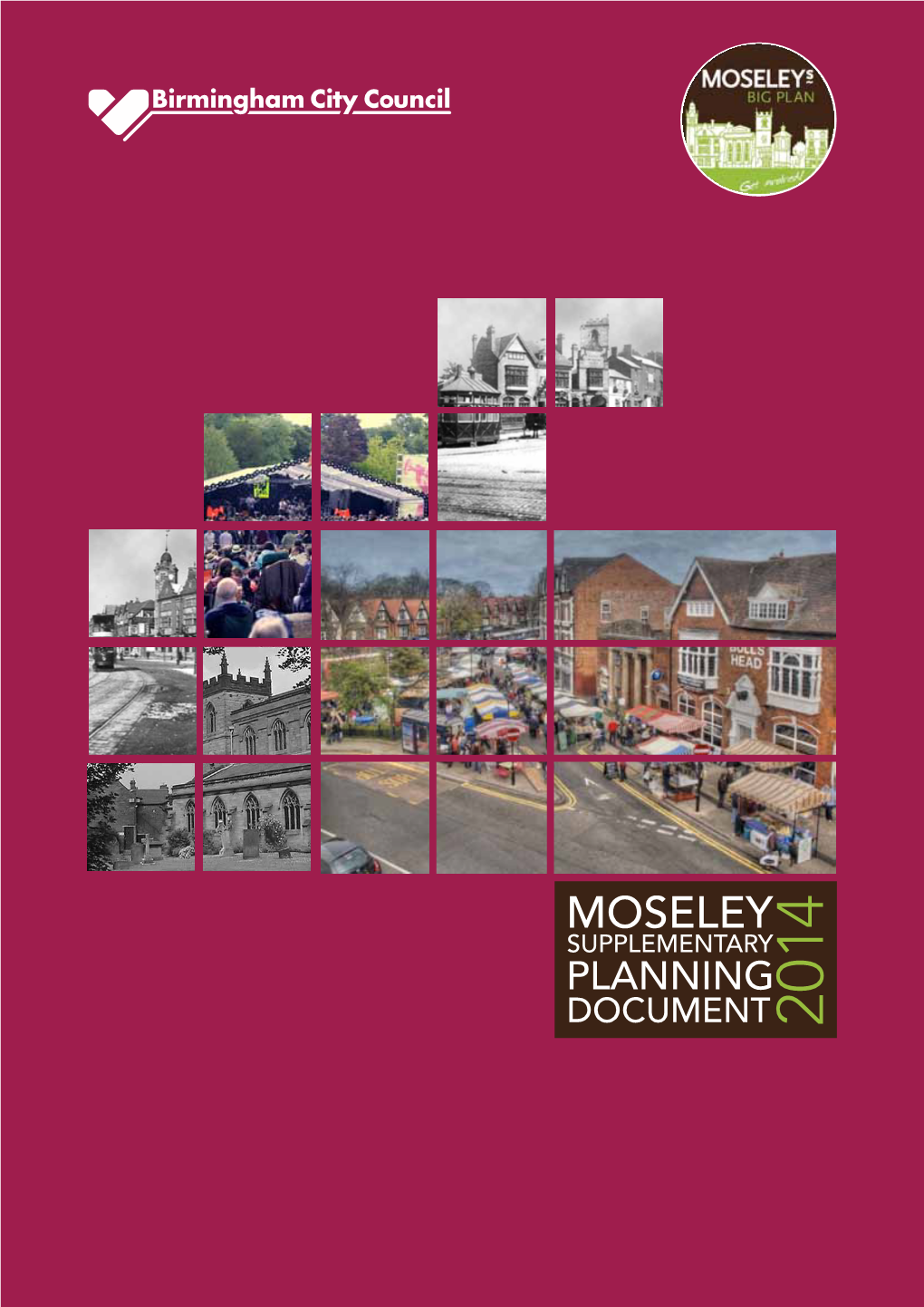 Moseley Supplementary Document May2014.Pdf
