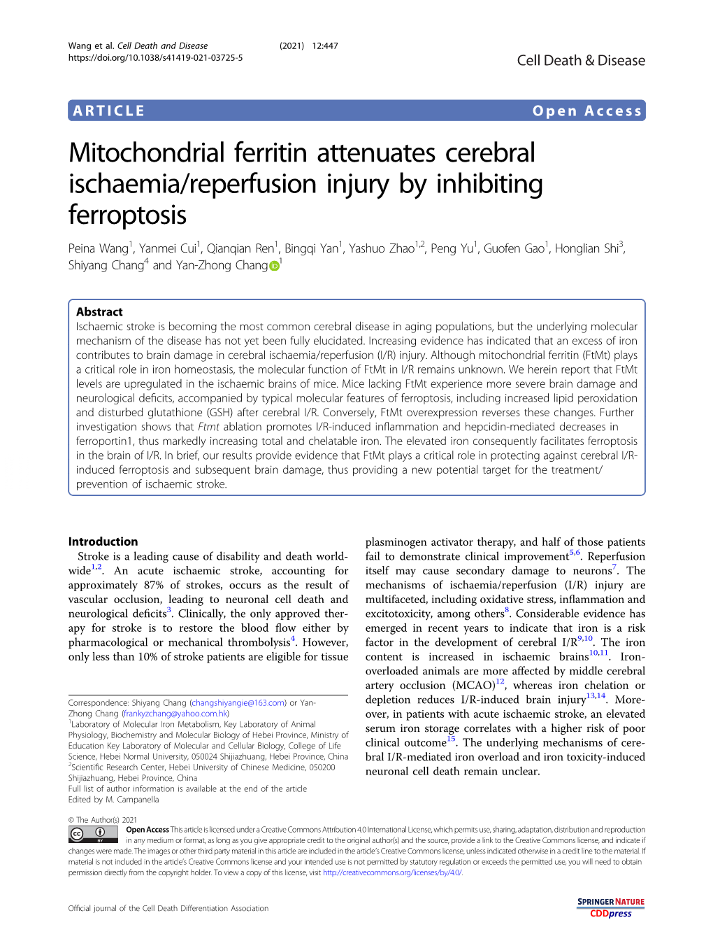 Mitochondrial Ferritin Attenuates Cerebral Ischaemia/Reperfusion