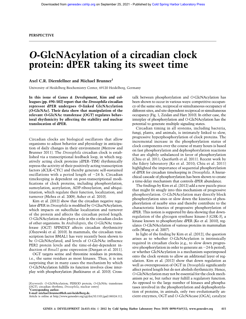 O-Glcnacylation of a Circadian Clock Protein: Dper Taking Its Sweet Time