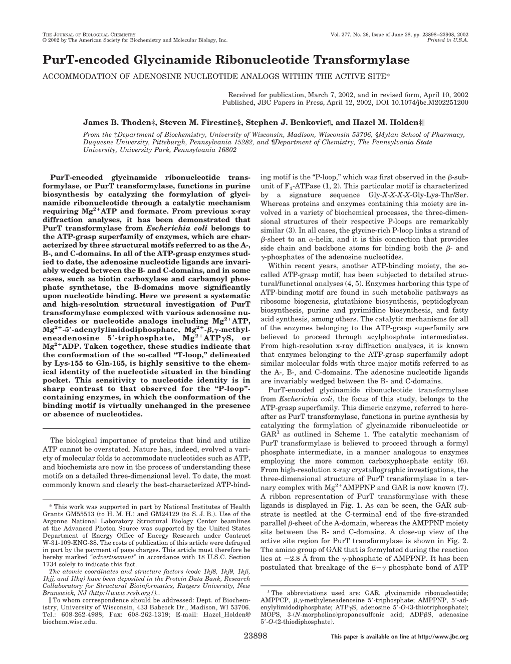 Purt-Encoded Glycinamide Ribonucleotide Transformylase ACCOMMODATION of ADENOSINE NUCLEOTIDE ANALOGS WITHIN the ACTIVE SITE*