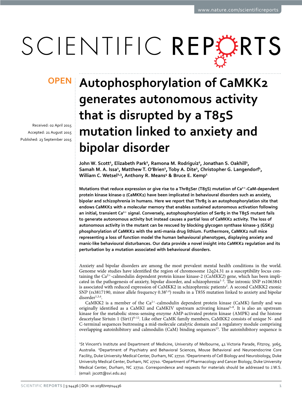 Autophosphorylation of Camkk2 Generates