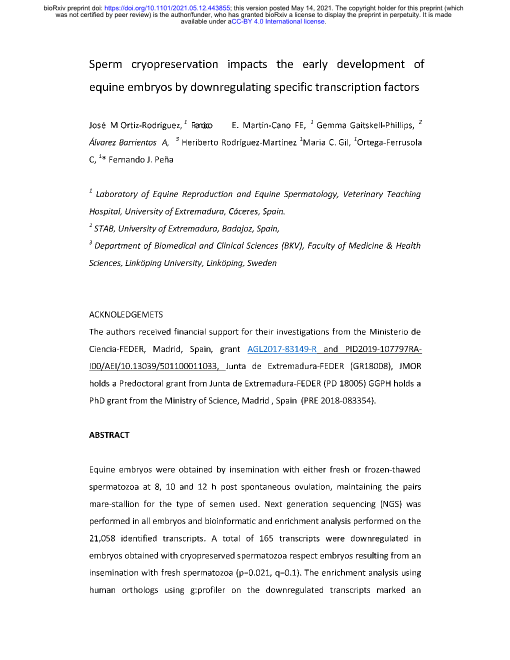 Sperm Cryopreservation Impacts the Early Development of Equine Embryos by Downregulating Specific Transcription Factors