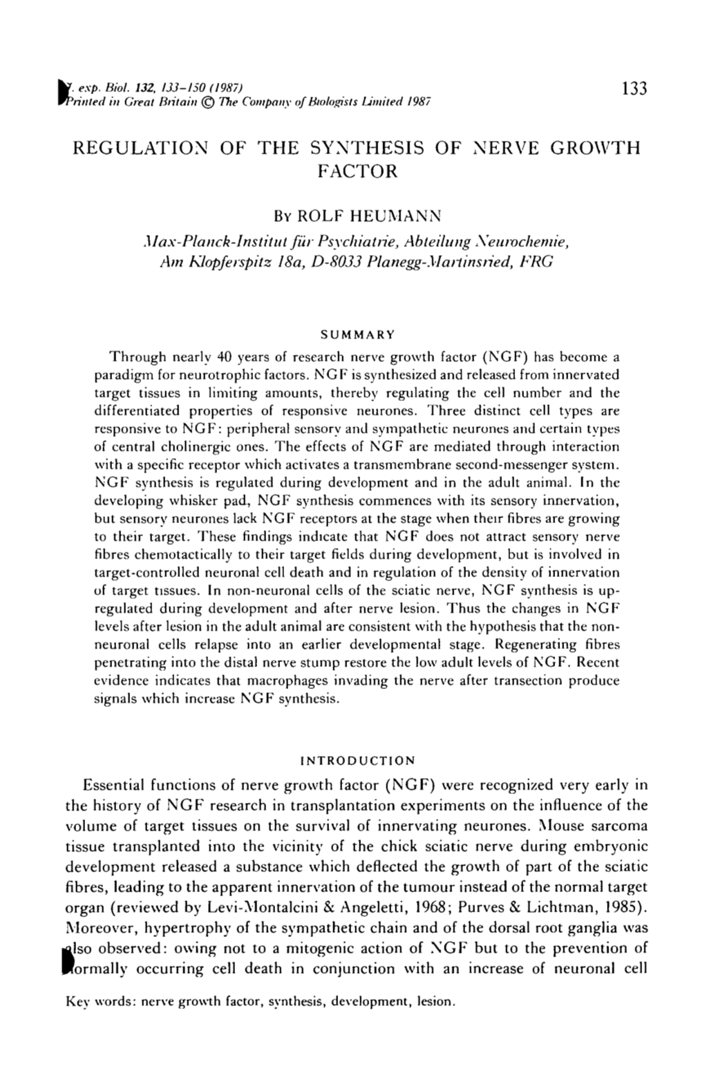 Regulation of the Synthesis of Nerve Growth Factor