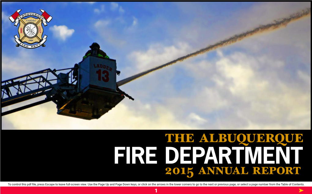 2015 Annual Report