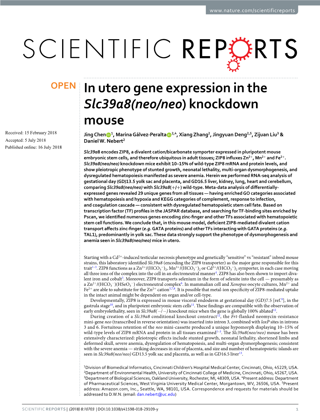 In Utero Gene Expression in the Slc39a8(Neo/Neo) Knockdown Mouse