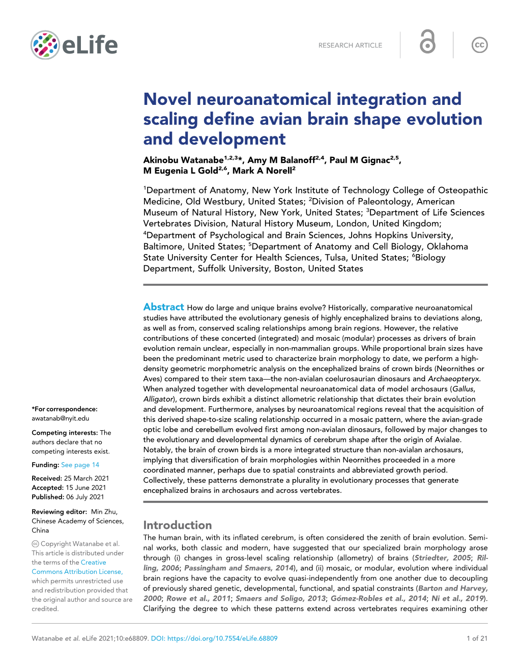 Novel Neuroanatomical Integration and Scaling Define Avian Brain