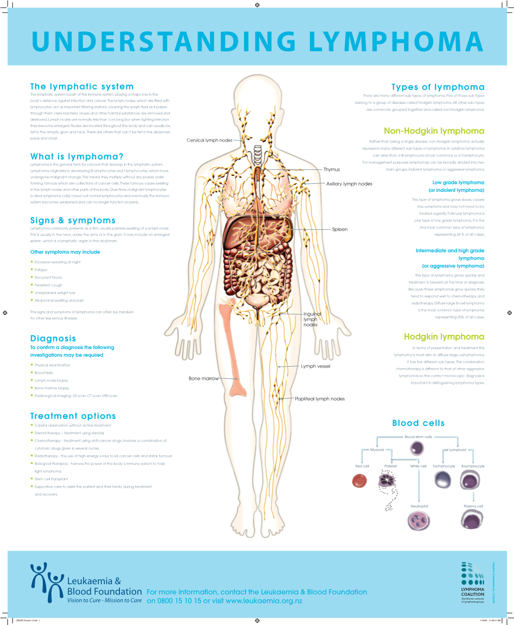 The Lymphatic System What Is Lymphoma?