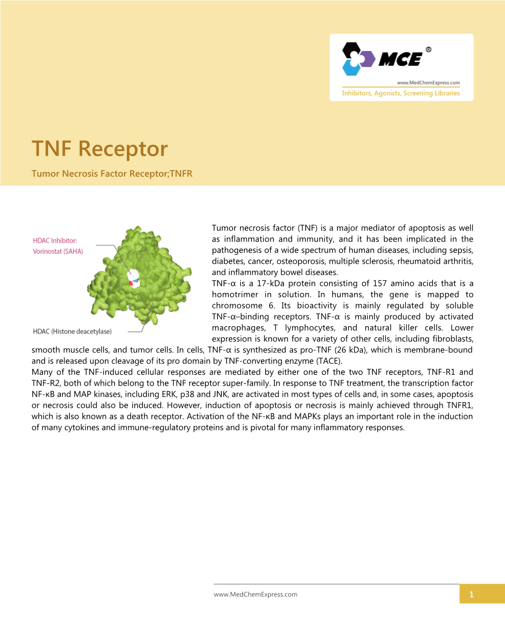 TNF Receptor Tumor Necrosis Factor Receptor;TNFR