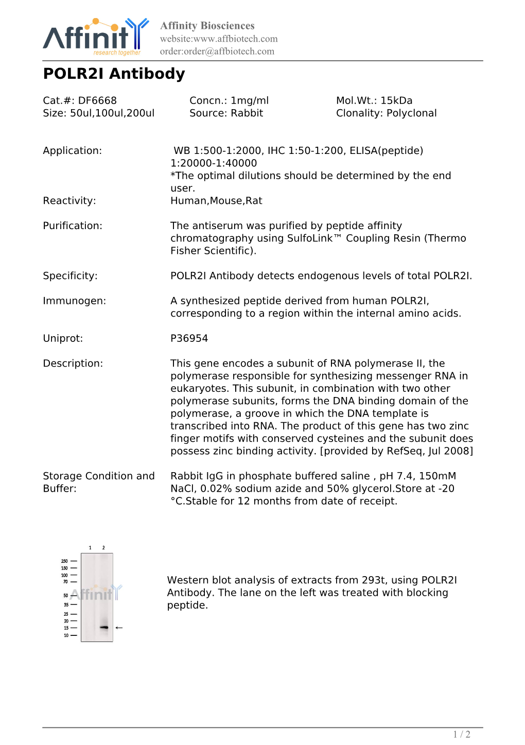 DF6668-POLR2I Antibody