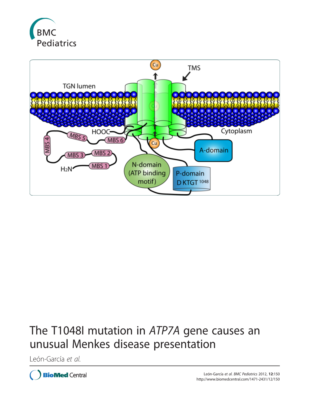 The T1048I Mutation in ATP7A Gene Causes an Unusual Menkes Disease Presentation León-García Et Al