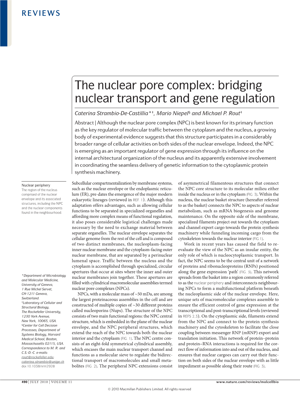 The Nuclear Pore Complex: Bridging Nuclear Transport and Gene Regulation