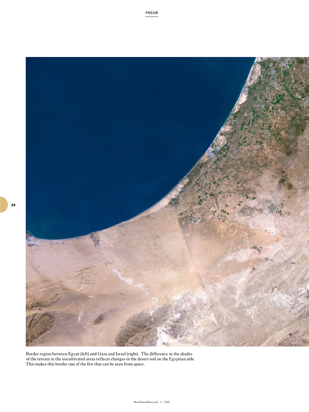 Algal Bloom in the Desert Sand