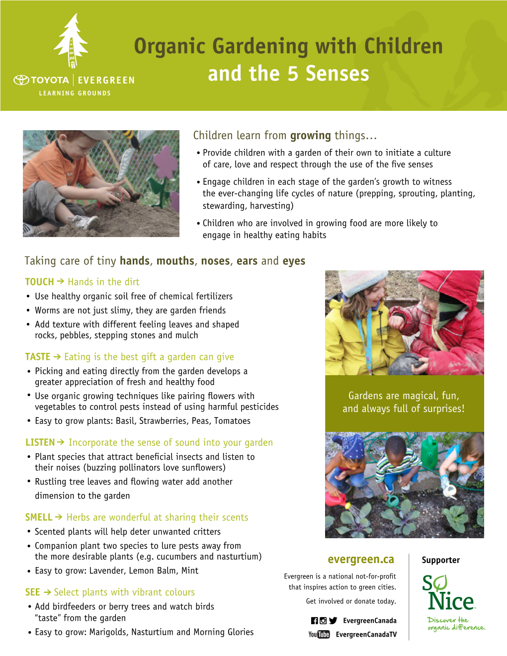 Organic Gardening with Children and the 5 Senses