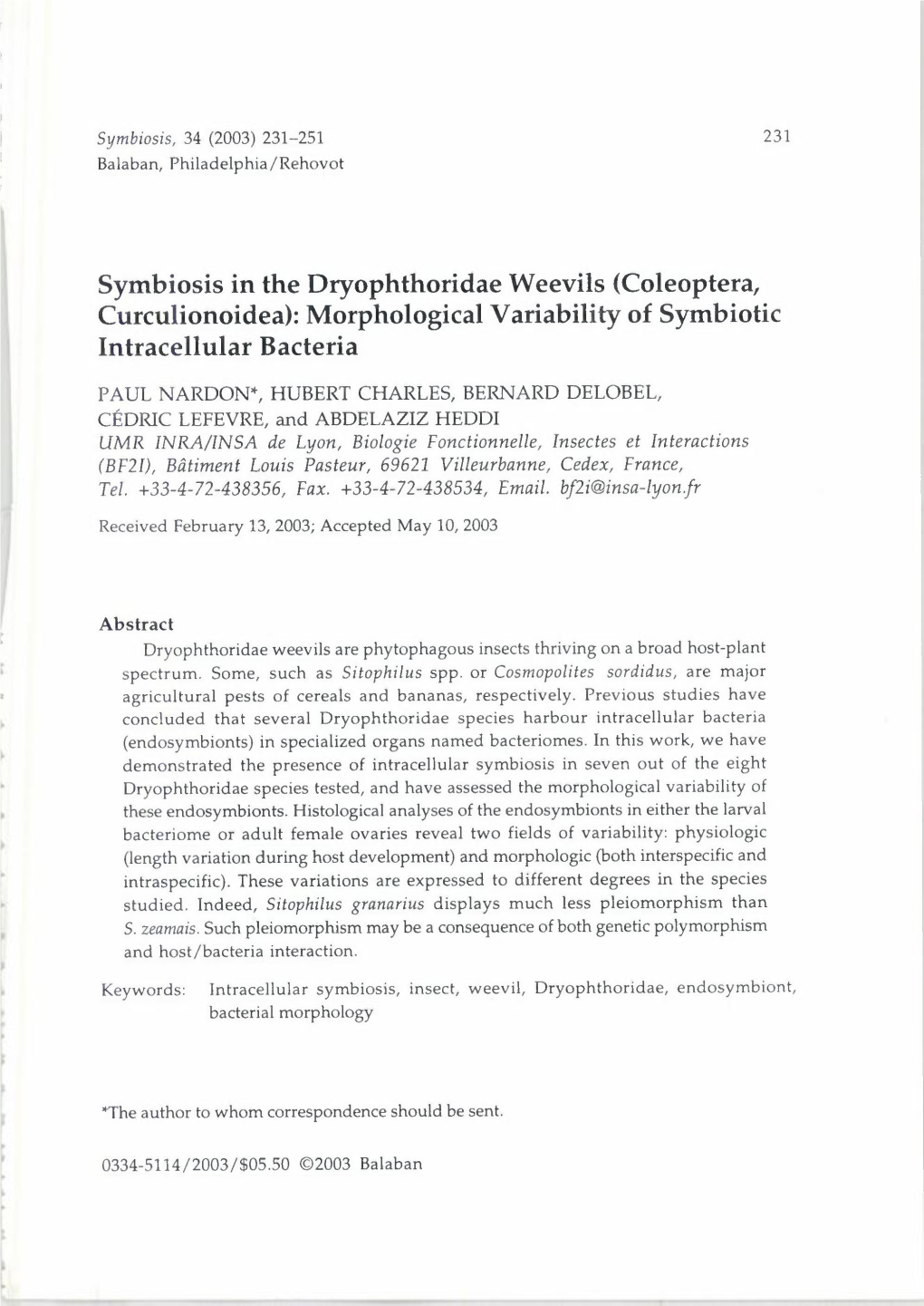 Symbiosis in the Dryophthoridae Weevils (Coleoptera, Curculionoidea): Morphological Variability of Symbiotic Intracellular Bacteria