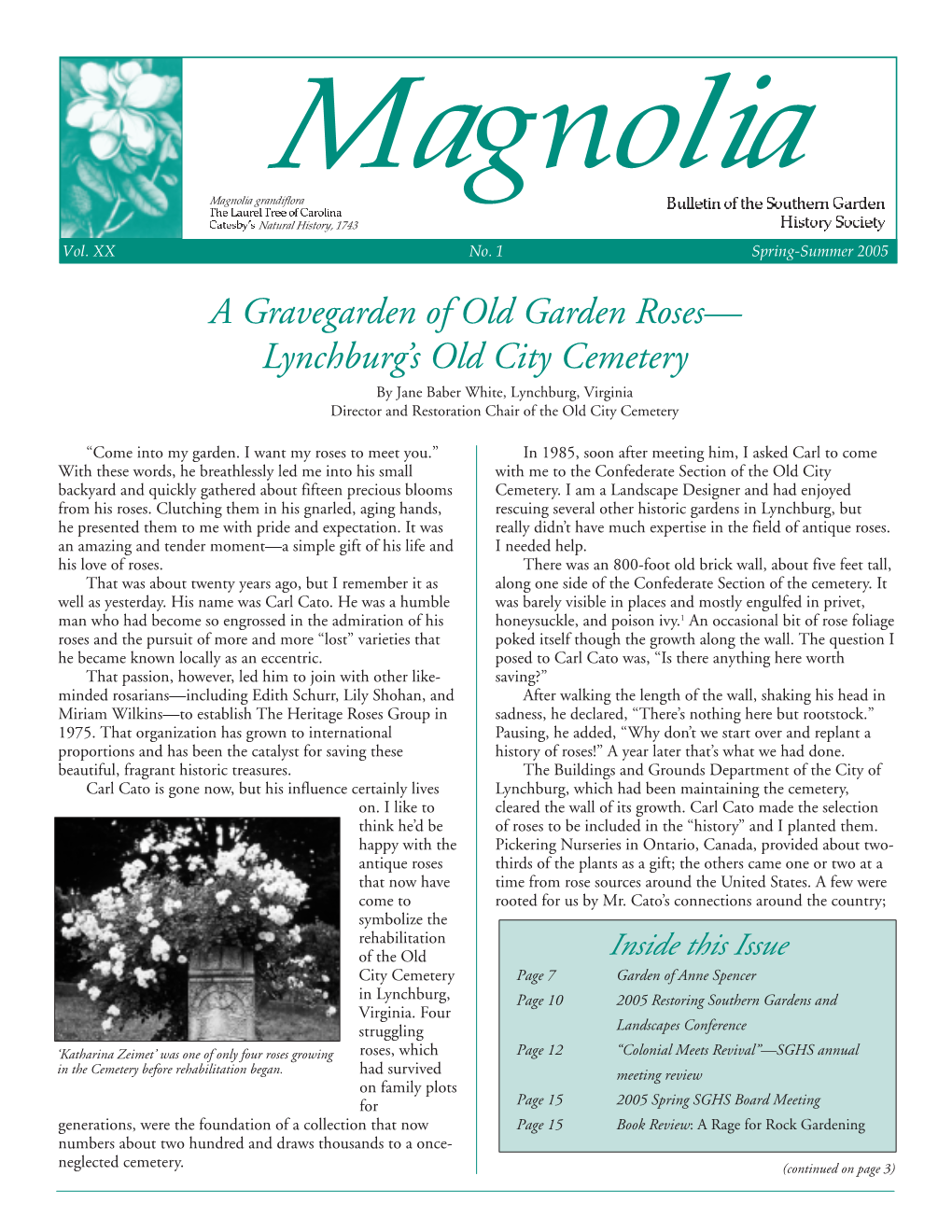 Magnolia Newsletter Winter