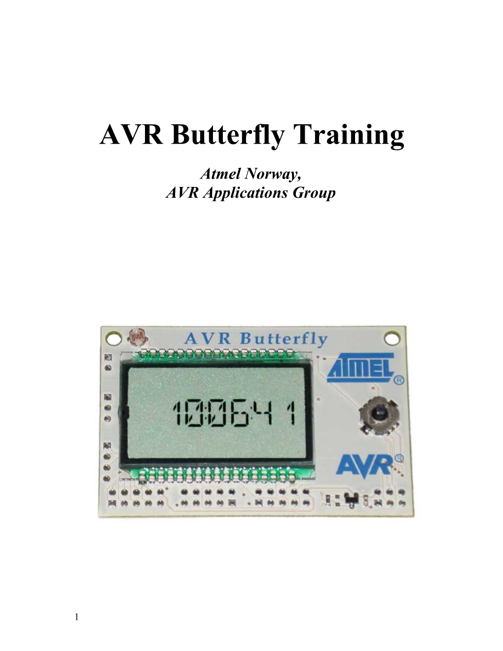 AVR Butterfly Training