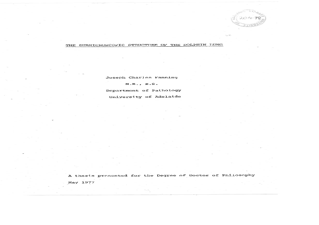 The Submicroscopic Structure of the Dolphin Lung