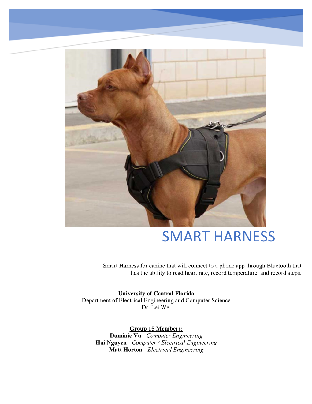 Smart Harness