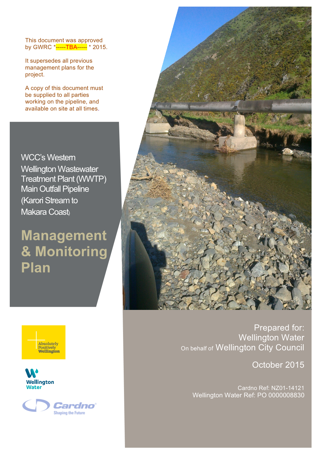 Management & Monitoring Plan