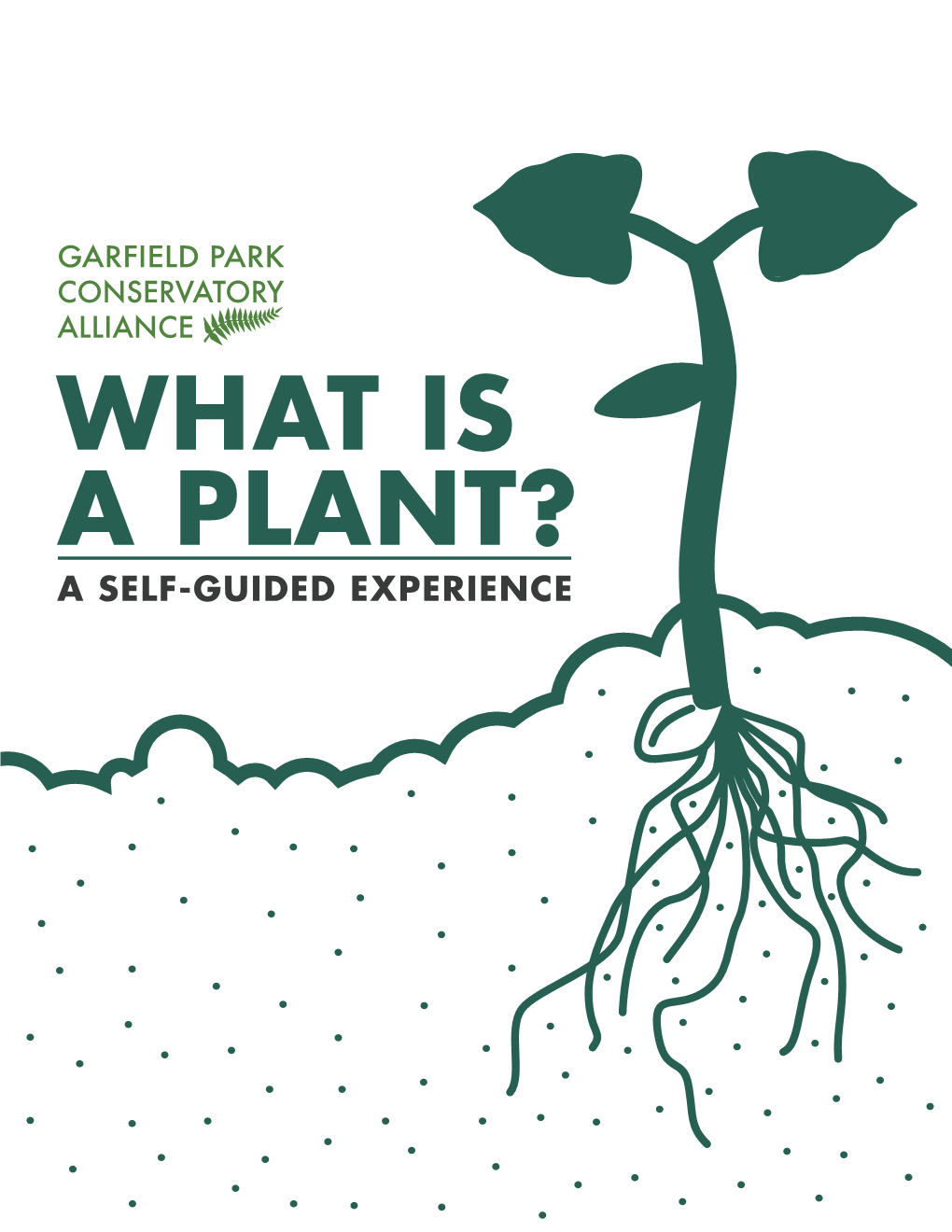 WHAT IS a PLANT? a SELF-GUIDED EXPERIENCE OVERVIEW What Is a Plant?