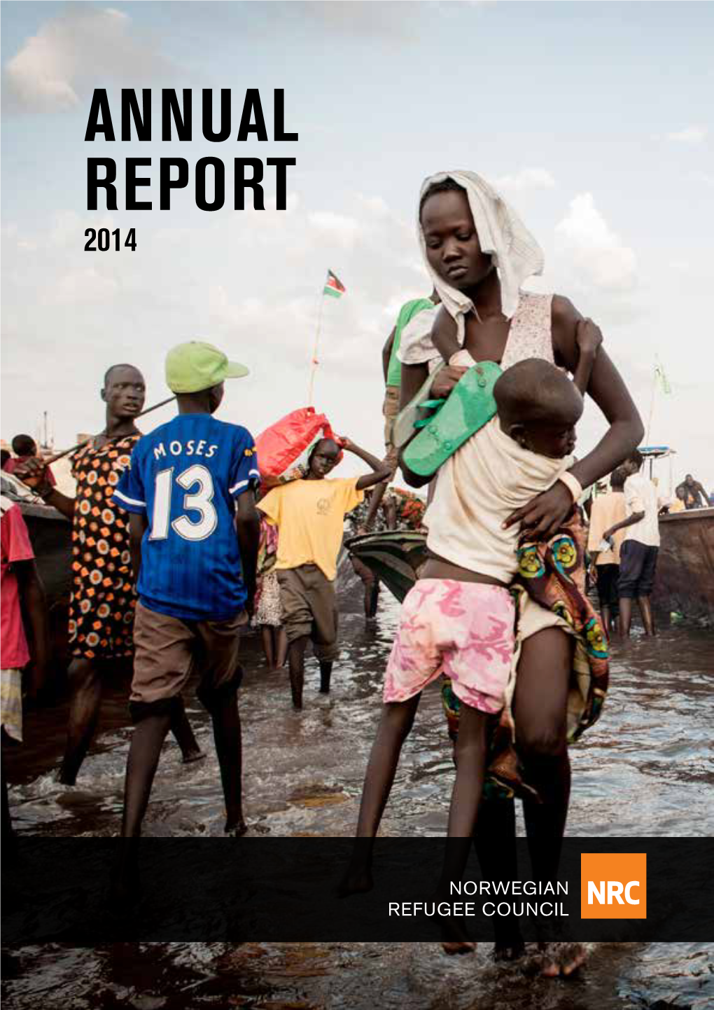 NRC Annual Report 2013