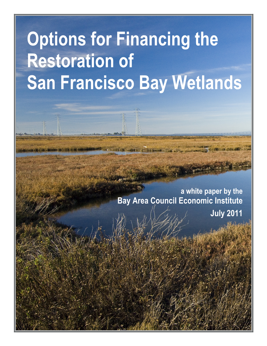 Financing Wetland Restoration in San Francisco Bay Save the Bay, 2007