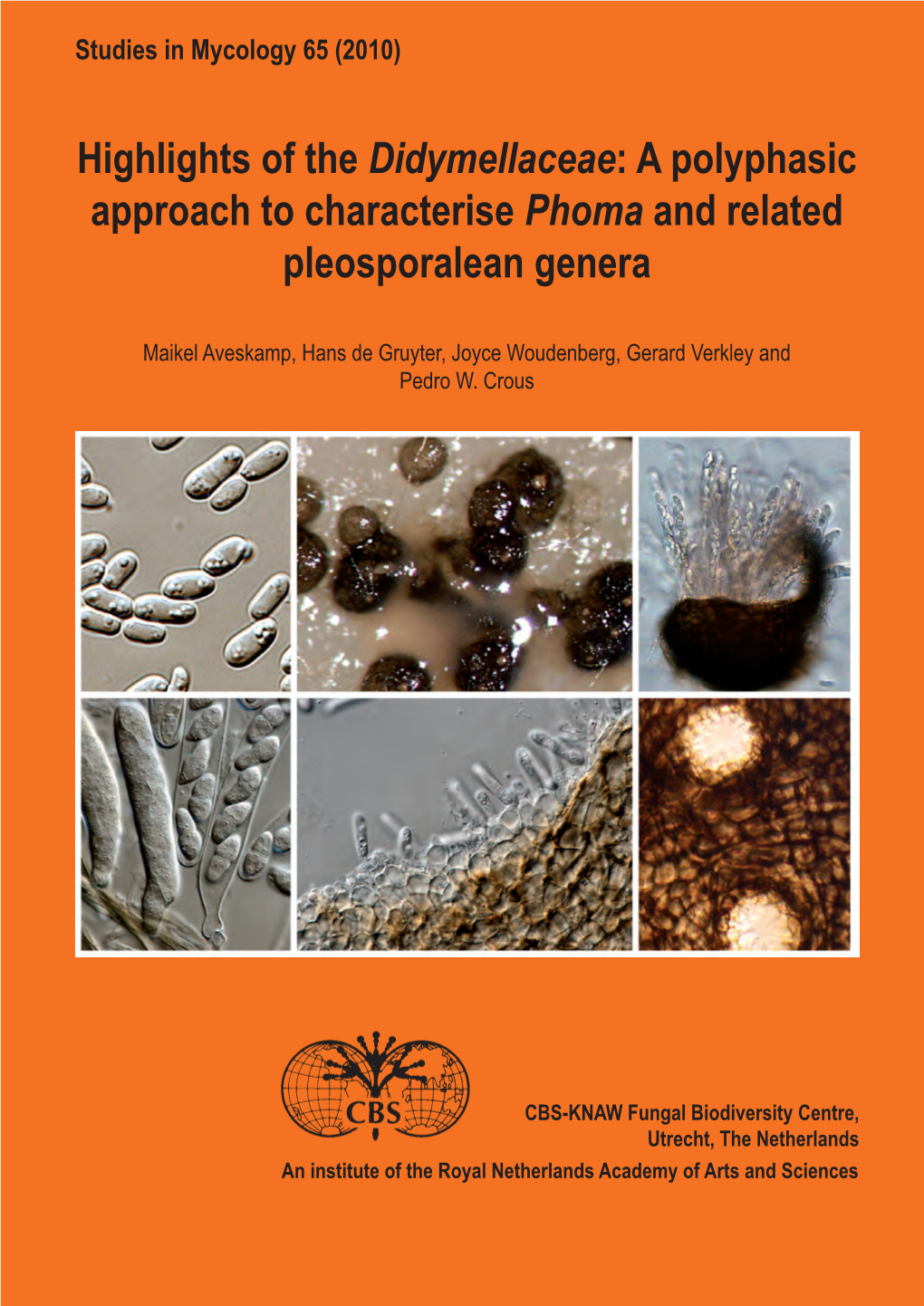 Highlights of the Didymellaceae: a Polyphasic Approach to Characterise Phoma and Related Pleosporalean Genera