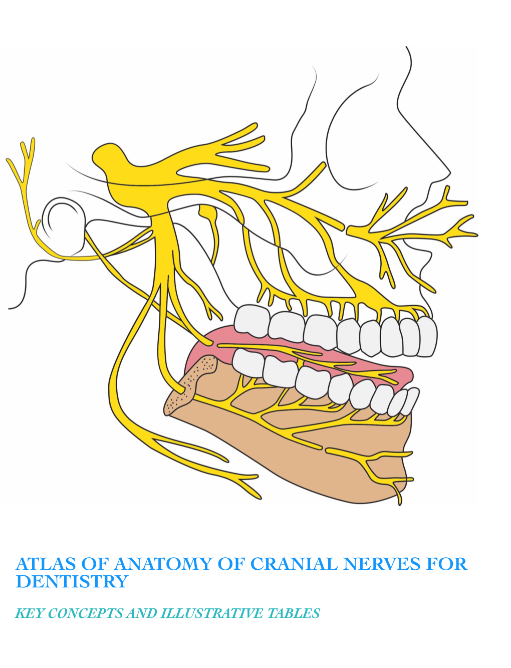 Atlas of Anatomy of Cranial Nerves for Dentistry