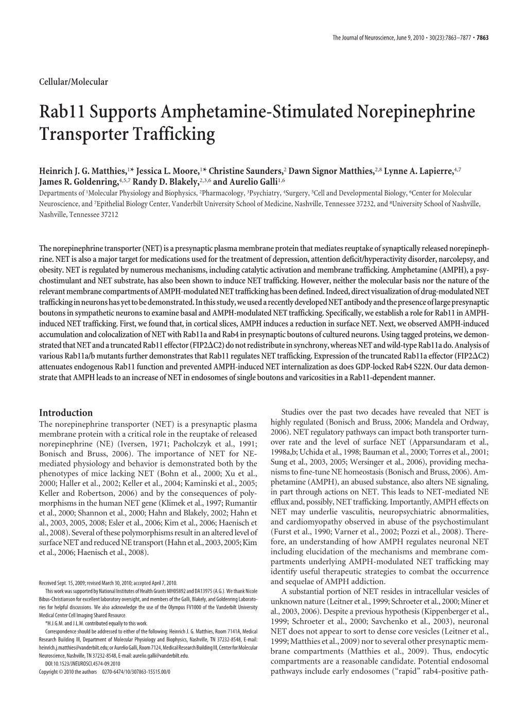 Rab11 Supports Amphetamine-Stimulated Norepinephrine Transporter Trafficking