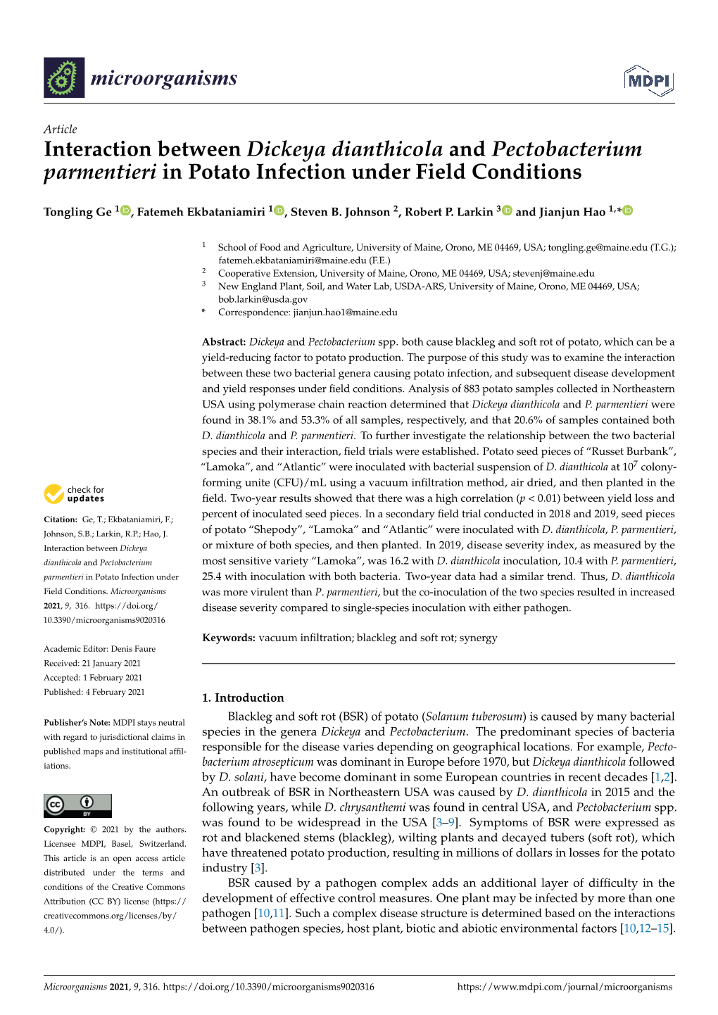 Interaction Between Dickeya Dianthicola and Pectobacterium Parmentieri in Potato Infection Under Field Conditions